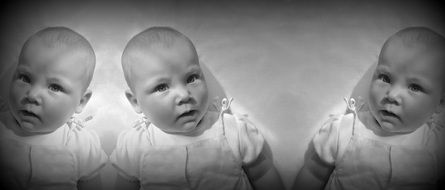 black and white photo of three newborns