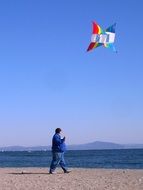 Nobi Beach Kite