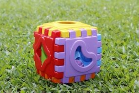 colorful plastic cube on the lawn