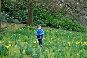 child on a flowering meadow