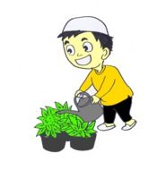 Picture of child watering flowers