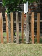 wooden fence in the farmyard