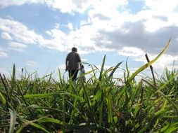 green grass with silhouettes of people on the background of clouds