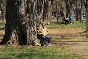 Fountain Man Tree