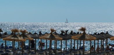 landscape of umbrella hats on a beach