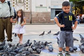 children in the square among the pigeons