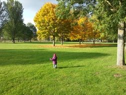 little girl among golden autumn