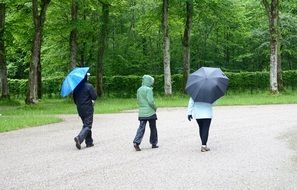 pedestrians with umbrellas in the park