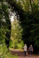 People Walking in park