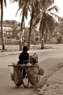 child on a bicycle with a load on a city street in Cambodia