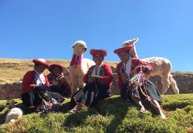 people in national costumes near the llama