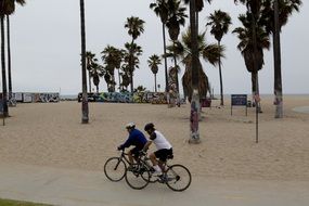 cyclists on a beach track in california