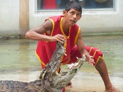 show with crocodiles in Thailand