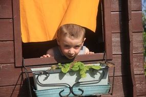 insanely beautiful Child in Window