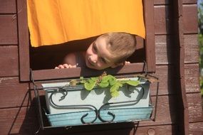 curious child in the window of a wooden house