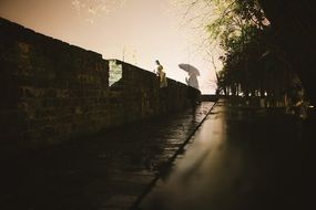 rainy night landscape