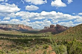 Cathedral Rock of Sedona