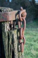 Chain on the wood