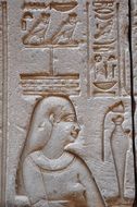 hieroglyphs on the walls of an egyptian temple