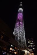 Tokyo Skytree as a Landmark