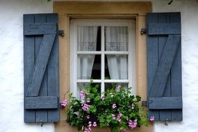 old Window Klappladen