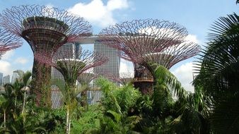 attractions in singapore