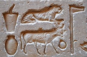 wall paintings in the temples of Egypt