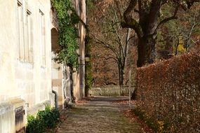 path along the medieval monastery in bebenhausen