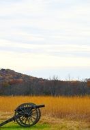 historical gun in nature