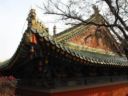 Beautiful Chinese Shaolin Temple