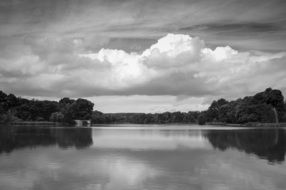 Newstead Abbey