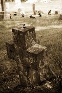 Picture of Historical Grave