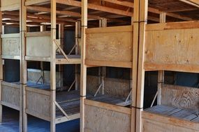 historical wooden beds on two floors in a concentration camp