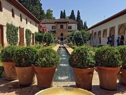 beautiful garden in granada