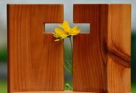 yellow flowers in Cross form hole in wooden panel