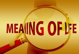 Hand Magnifying Glass