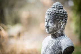 Asian Buddha Statue