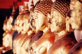 golden buddhas in the asian temple