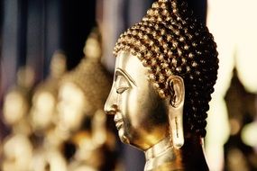 row of golden buddhas in bangkok