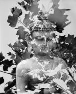 transparent Buddha statue on leaves, digital art