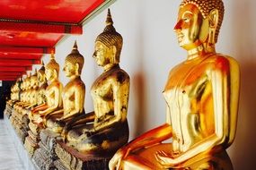 row of golden buddhas in bangkok temple