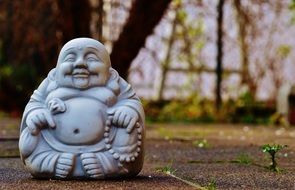 strikingly beautiful Buddha Fig
