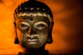 Head of Buddha statue on an orange background