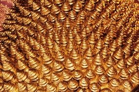golden crown on buddha head