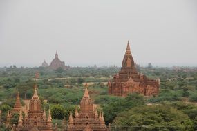 panoramic view of a pagoda among green trees in asia