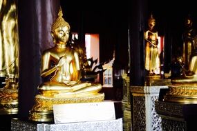 variety of golden buds in a temple in bangkok