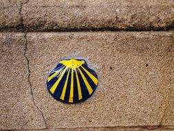 Symbol of the shell in Spain