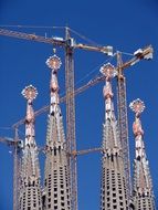 spiers of the sagrada familia in Barcelona