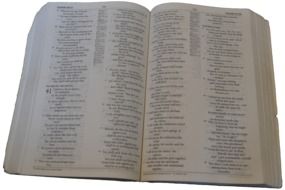 open bible on white background