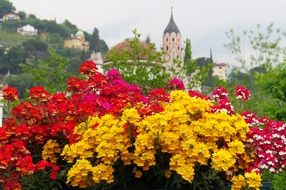 multicolored flowers in front of a church in South Tyrol